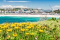 Flowers in Bondi Beach, Sydney - Australia Royalty Free Stock Photo