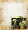 Flowers and Books on a Grunge Background Royalty Free Stock Photo