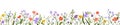 Flowers border. Spring and summer floral plants, garden and meadow blooms. Horizontal botanical decoration. Wildflowers