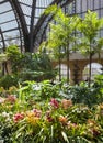 Flowers in botanical building. San Diego