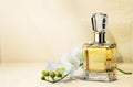 Perfume bottle and flowers on background Royalty Free Stock Photo