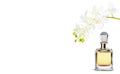 Perfume bottle and flowers isolated on background Royalty Free Stock Photo