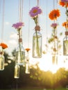 Flowers in bottles hanging on strings against the setting sun Royalty Free Stock Photo