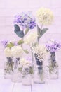 Flowers in bottles Royalty Free Stock Photo