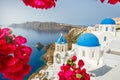 Flowers  bougainvillea on the background of of Santorini Royalty Free Stock Photo