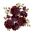 Flowers bouquet of red and black roses close up, isolated on white background. Royalty Free Stock Photo