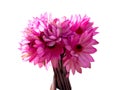 Flowers Bouquet for Valentines Day on isolated white background. Royalty Free Stock Photo