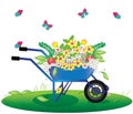 Flowers bouquet in wheelbarrow