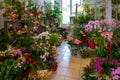 Flowers and bouquets stand in a florist`s shop Royalty Free Stock Photo