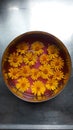 Flowers in a bowl of juce