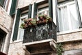 Flowers in a box on the window. Venice, Italy Royalty Free Stock Photo