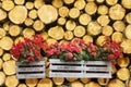 Flowers boxes hanging on a timber stack - Home sweet home writte