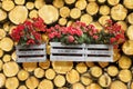 Flowers boxes hanging on a timber stack - Home sweet home writte