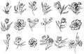 Flowers and branches hand drawn collection isolated on white background. 18 Floral graphic elements. Big vector set. Outline Royalty Free Stock Photo