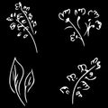 Flowers and branches isolated on black background. Hand drawn doodle collection. 4 floral graphic elements. Big vector set. Royalty Free Stock Photo