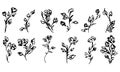 Flowers and branches isolated on white background. Hand drawn doodle collection. 12 floral graphic elements. Big vector set. Royalty Free Stock Photo