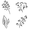 Flowers and branches isolated on white background. Hand drawn doodle collection. 4 floral graphic elements. Big vector set. Royalty Free Stock Photo