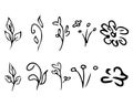 Flowers and branches isolated on white background. Hand drawn doodle collection. 10 floral graphic elements. Big vector set. Royalty Free Stock Photo