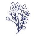 Flowers branches leaves decoration cartoon isolated icon design line style Royalty Free Stock Photo