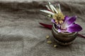 Flowers in brass cups in corner on burlap fabric background, in the upper right corner of the background ready for your text or Royalty Free Stock Photo