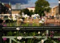 Flowers On Bridge Over Fattighusan Channel Goteborg