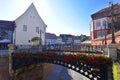 Flowers on bridge in Sibiu, Transylvania