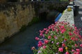 Flowers and bridge to the sun Royalty Free Stock Photo