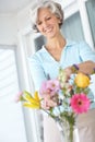 Flowers brighten up any room. a senior woman enjoying some flower arranging at home. Royalty Free Stock Photo