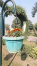 flowers in bucket in greater iqbal park Pakistan