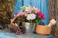 Flowers in bucket and mortar with healing herbs Royalty Free Stock Photo