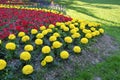 Flowers in Bundek park, Zagreb, Croatia