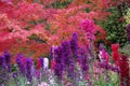 Flowers in Butchart Gardens