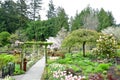 Flowers in the Butchart Gardens. Victoria BC. Royalty Free Stock Photo