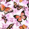 Flowers, butterflies, hand written text note. Watercolor. Seamless pattern Royalty Free Stock Photo