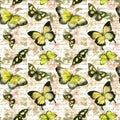 Flowers, butterflies, hand written text note. Watercolor. Seamless pattern Royalty Free Stock Photo
