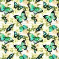 Flowers, butterflies, hand written text note. Watercolor. Seamless pattern Royalty Free Stock Photo