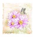 flowers and butterfly