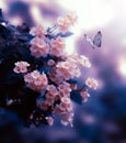 Flowers with a butterfly wandering among nature pink and blue tones color art Royalty Free Stock Photo