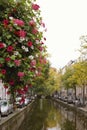 Flowers on canal in Amsterdam, Amstel river, Holland, Netherlands Royalty Free Stock Photo