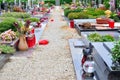 Flowers and candles in churchyard Royalty Free Stock Photo