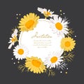 Flowers card Chamomile background Daisy wreath. Blooming daisies on a on a dark background. Elegant floral card with