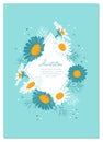 Flowers card Chamomile background Daisy wreath. Blooming daisies on a gentle turquoise background. Elegant floral card Royalty Free Stock Photo