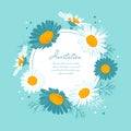 Flowers card Chamomile background Daisy wreath. Blooming daisies on a gentle turquoise background. Elegant floral card