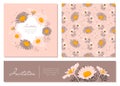 Flowers cards set Chamomile background Daisy wreath. Flowers and leaves of daisies on a gentle pink background. Vector