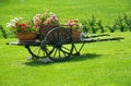 Flowers on the carriage