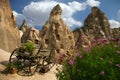 Flowers and carriage in Kapadokya