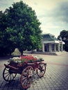 Flowers in carriage in the park