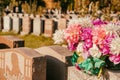 Flowers in a cemetery Royalty Free Stock Photo