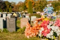 Flowers in a cemetery Royalty Free Stock Photo