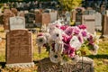 Flowers in a cemetery Royalty Free Stock Photo